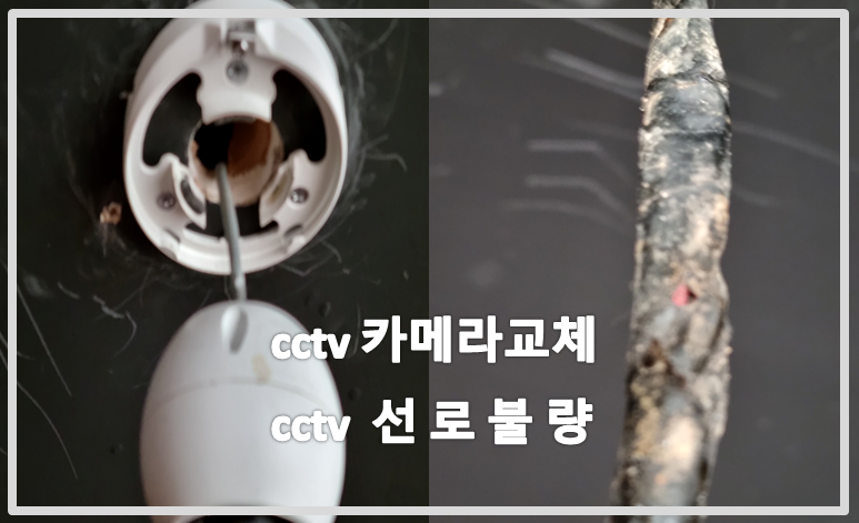 cctv카메라교체,cctv선로불량,cctv단선,cctv수리,cctv수리업체.PNG